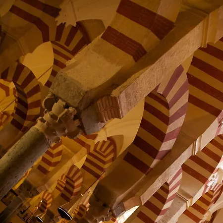 Apartment Plaza De Austria