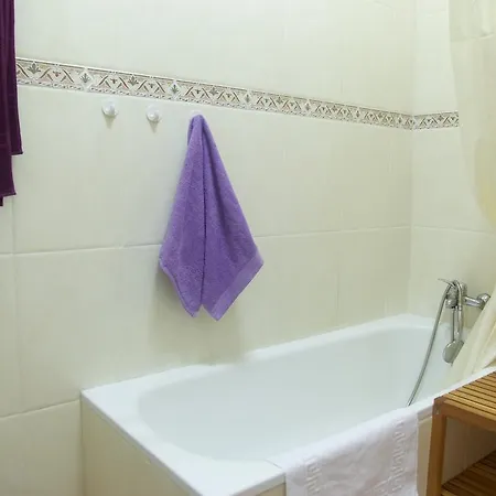 Apartment Plaza De Austria *