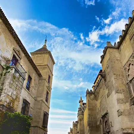 アパルタメントス プラザ デ オーストリア アパート コルドバ