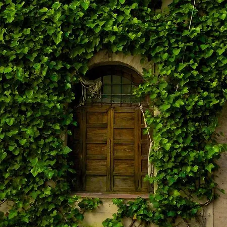 アパート アパルタメントス プラザ デ オーストリア