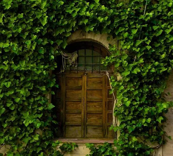 Apartman Plaza De Austria